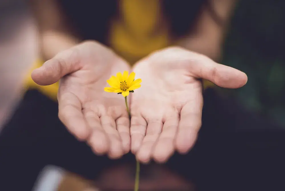 a woman's hands holding a flower